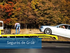 seguros de grua